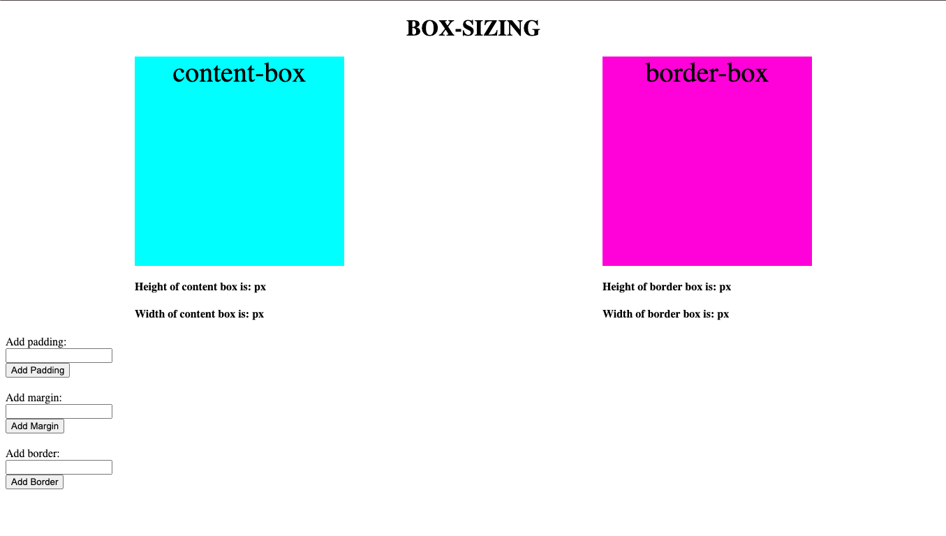 Understand Box Sizing project screenshot